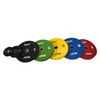 Weightlifting Set Color Bumper Plates 170 kg SS Ring (imported)