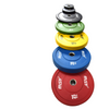 Weightlifting Set Color Bumper Plates 170 kg SS Ring (imported)